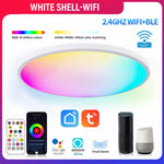 Smart WIFI LED Round Ceiling Light